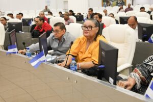 Fondo de garantía Parlamento