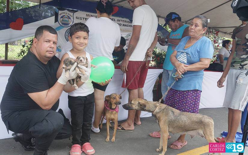 Feria salud mascotas