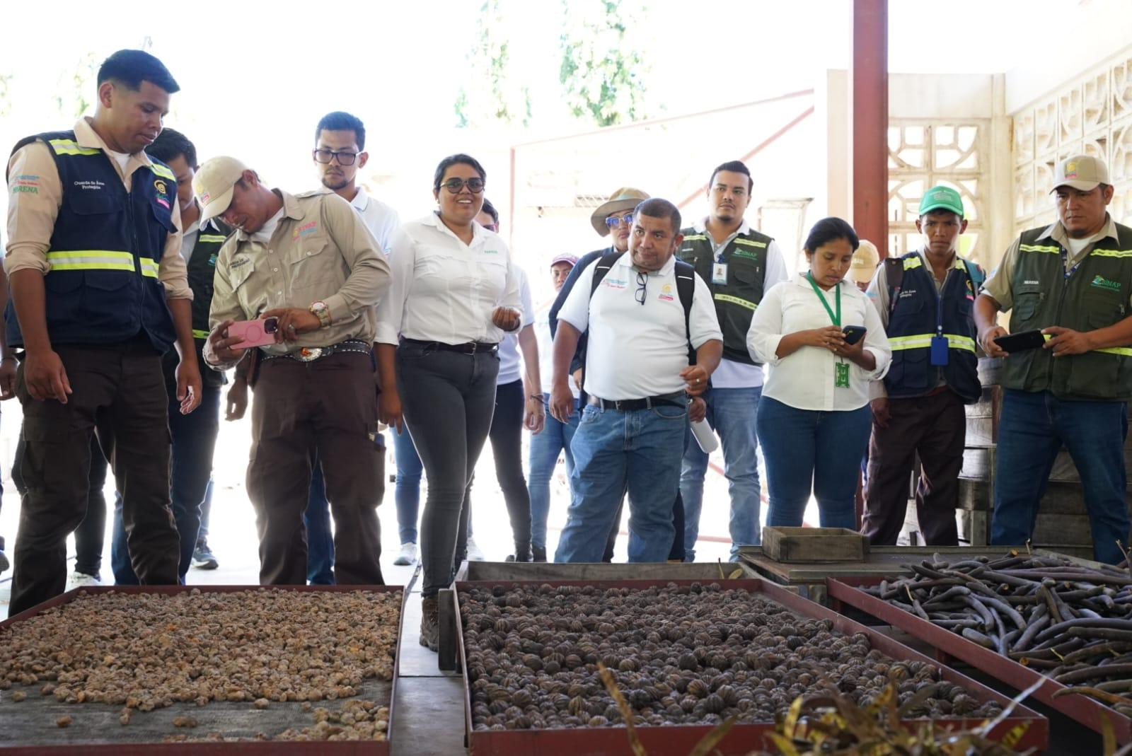 Profesionales nicaragüenses adquieren conocimientos y habilidades en el manejo de la recolección de las semillas