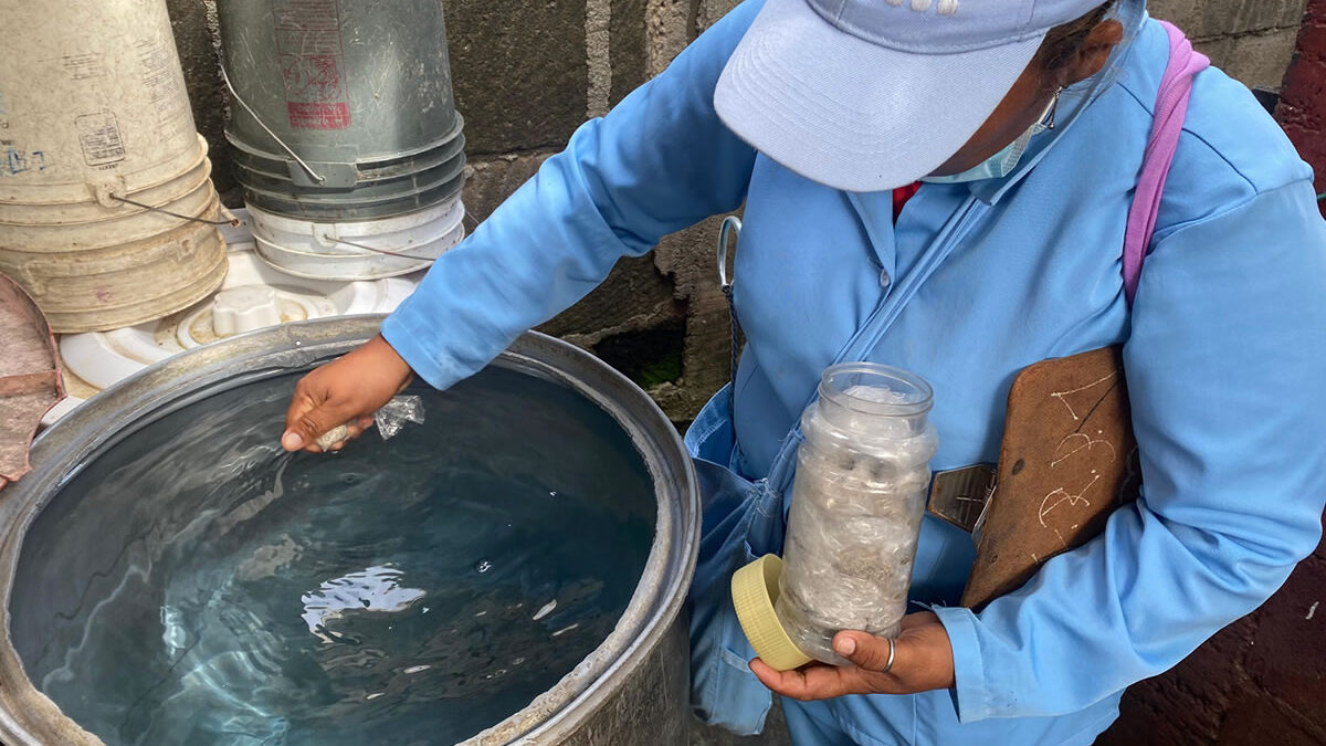 Siguen en descenso los casos positivos de dengue en Nicaragua