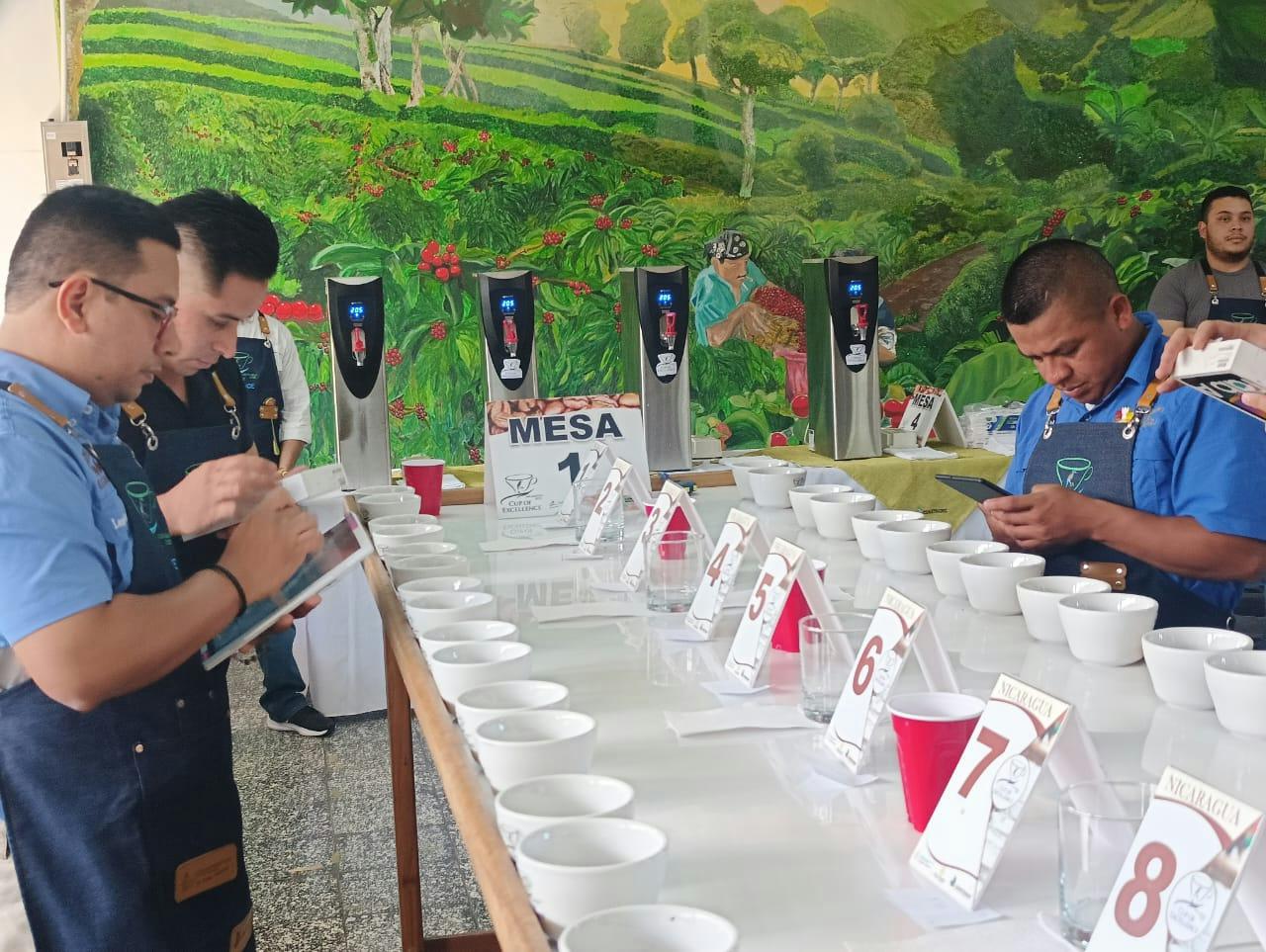 Avanza certamen Taza de Excelencia 2025 con selección de jurado nacional