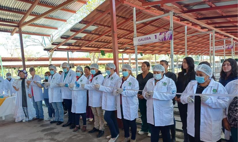 Nuevo programa porcinocultoras