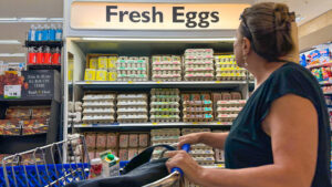 EEUU pide huevos a Europa