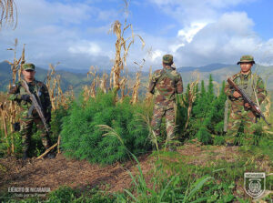Ejército retiene marihuana