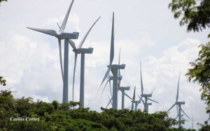 $81.3 millones para la construcción de la nueva planta eólica