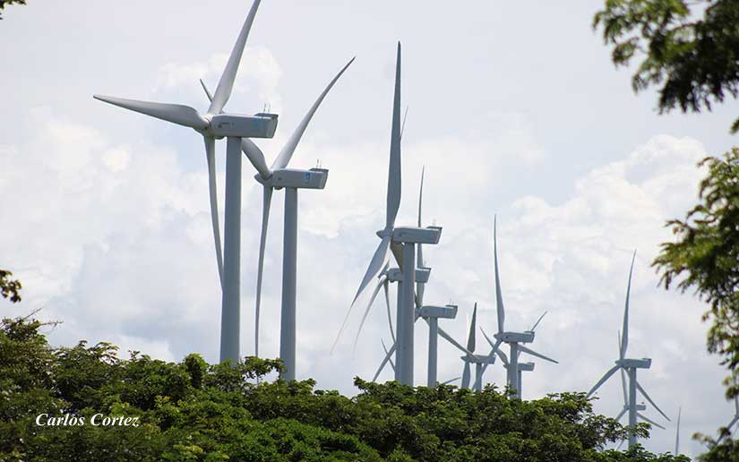 $81.3 millones para la construcción de la nueva planta eólica