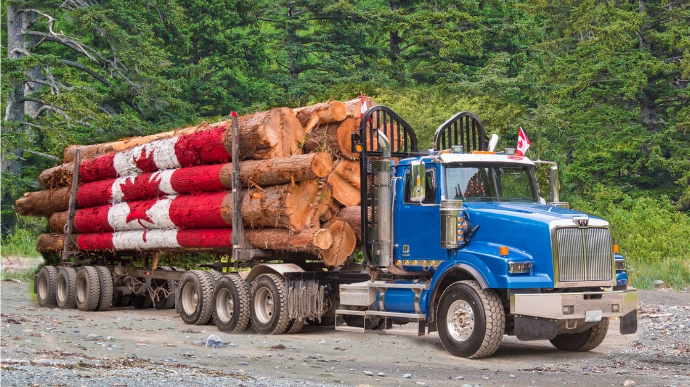Los aranceles de Trump a Canadá ponen en riesgo el abastecimiento de papel higiénico