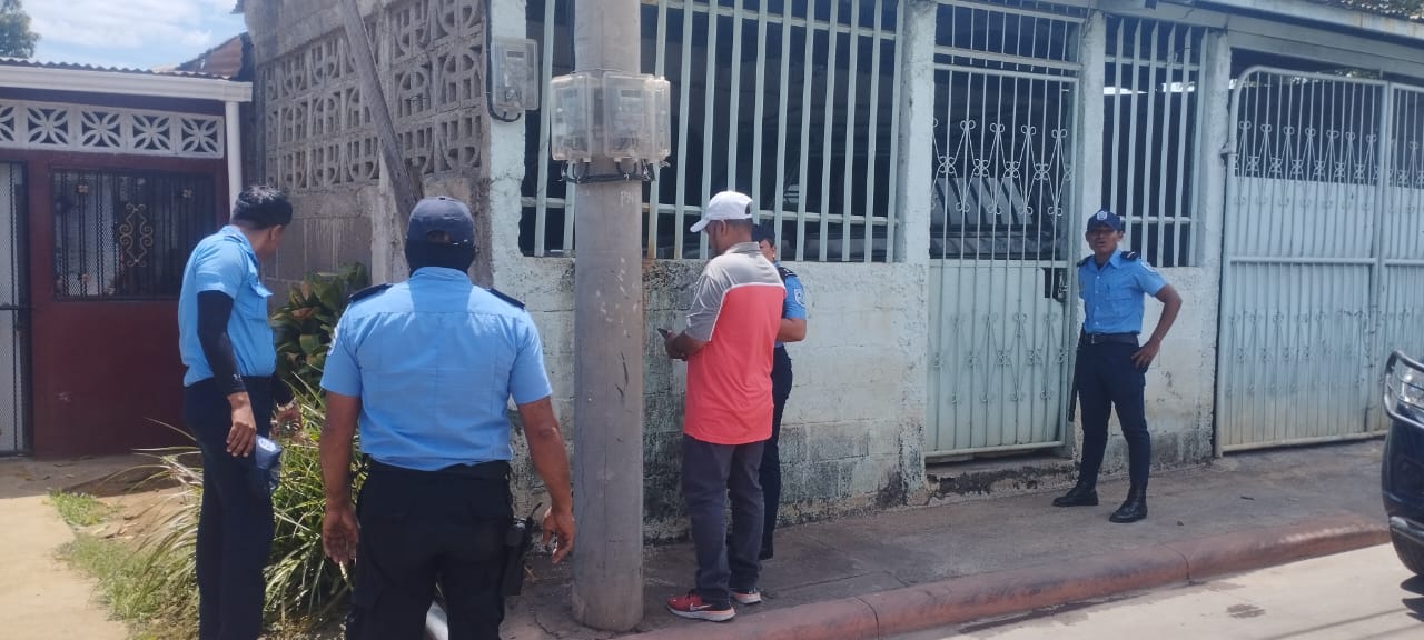 Ataque de abejas africanizadas en Managua deja a varias personas afectadas y dos perritos muertos