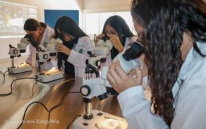 Nuevo Centro Universitario Agropecuario