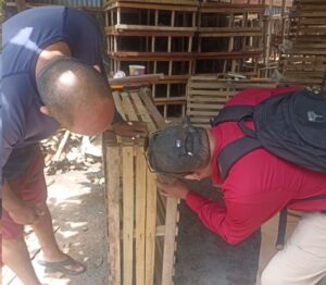 Captura de langosta dejó 11.9 millones