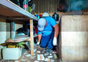 MINSA cumplen el 100% de la Campaña Nacional de Desratización