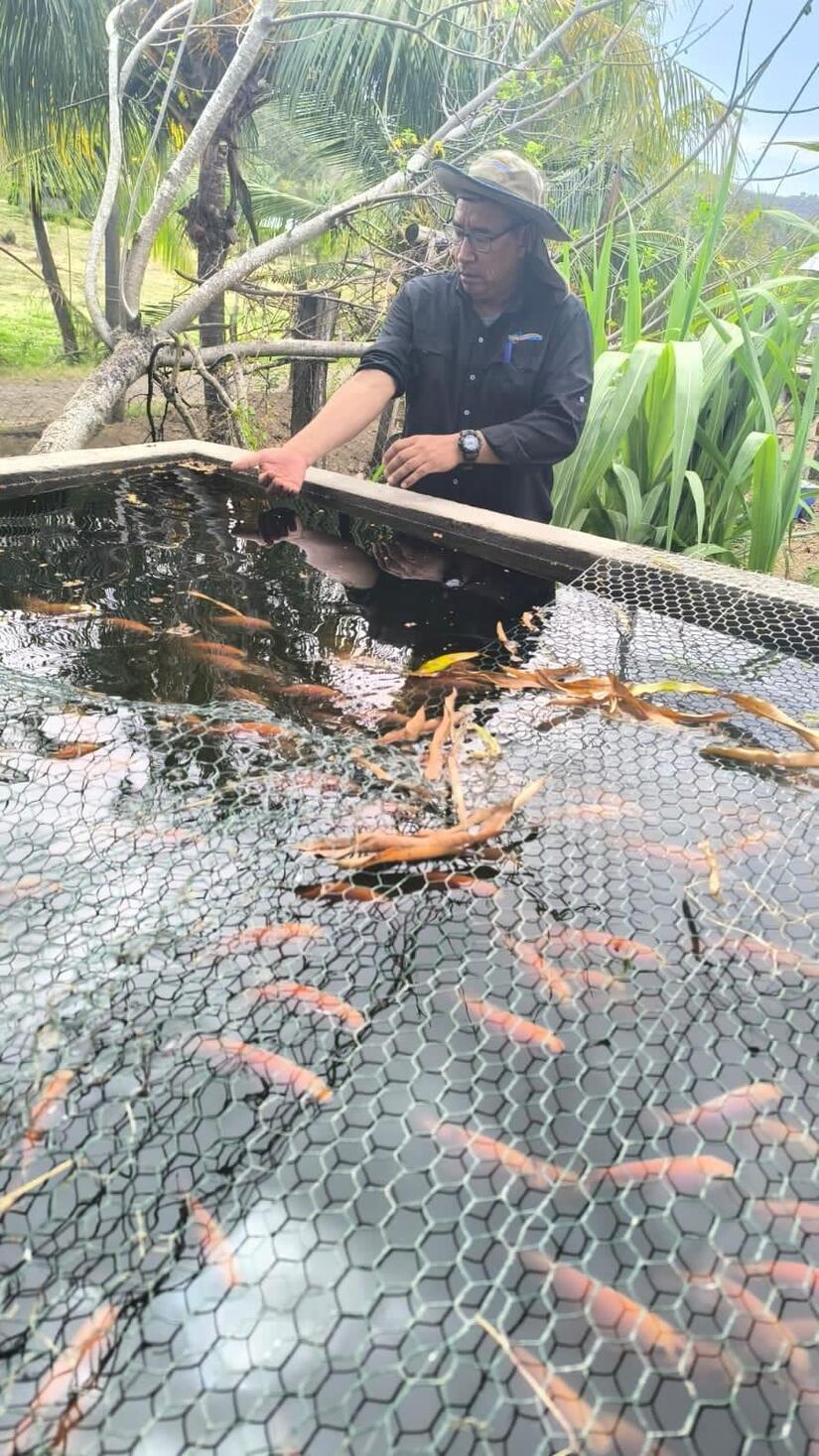 Productores de tilapia de Rivas son capacitados para mejorar sistemas de cultivo