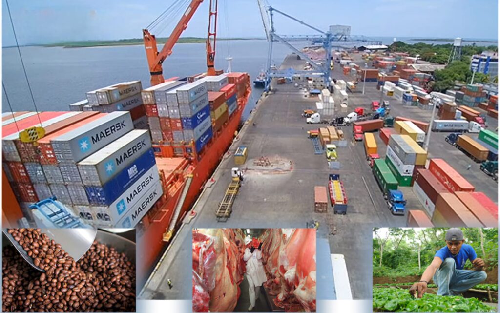 Economía se recuperó gracias a políticas consistentes y al esfuerzo del pueblo