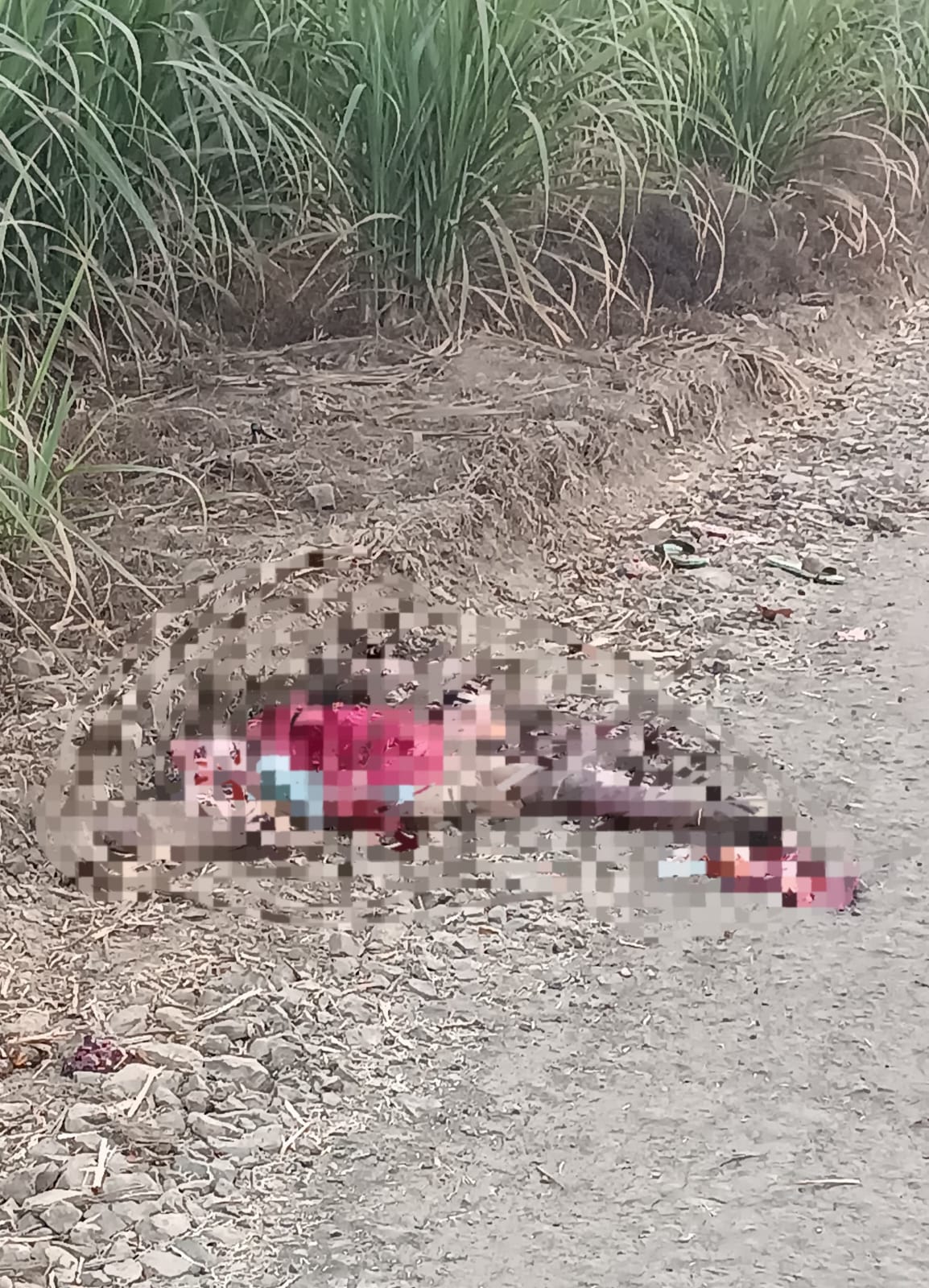 Mujer de 60 años muere aplastada por rastra de ingenio azucarero en Chinandega