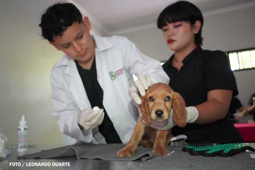 Hasta 150 atenciones por día se brindan en el primer Hospital Veterinario Público de Nicaragua