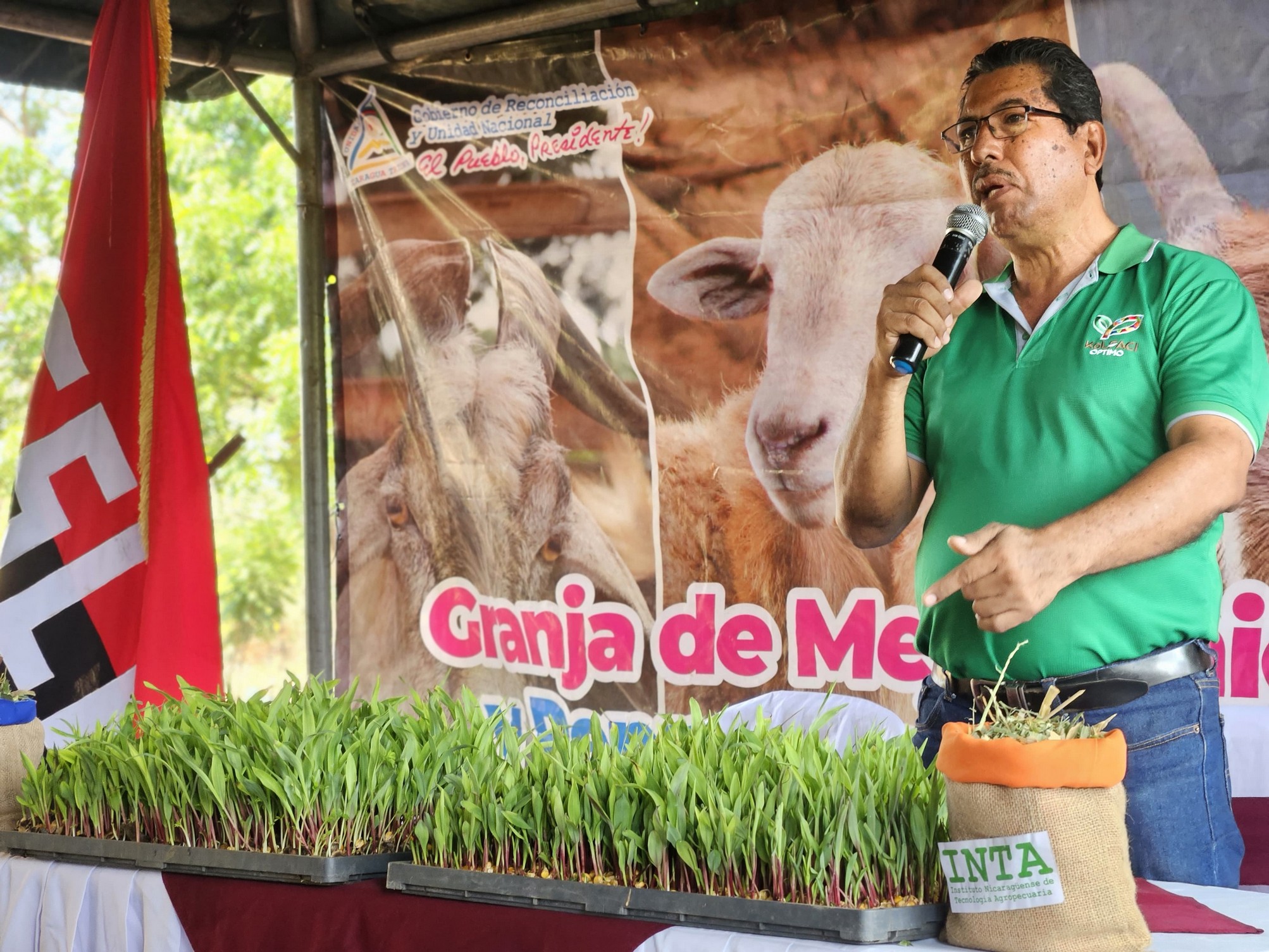 Nicaragua aumenta producción de leche en un 13% con buena alimentación del ganado