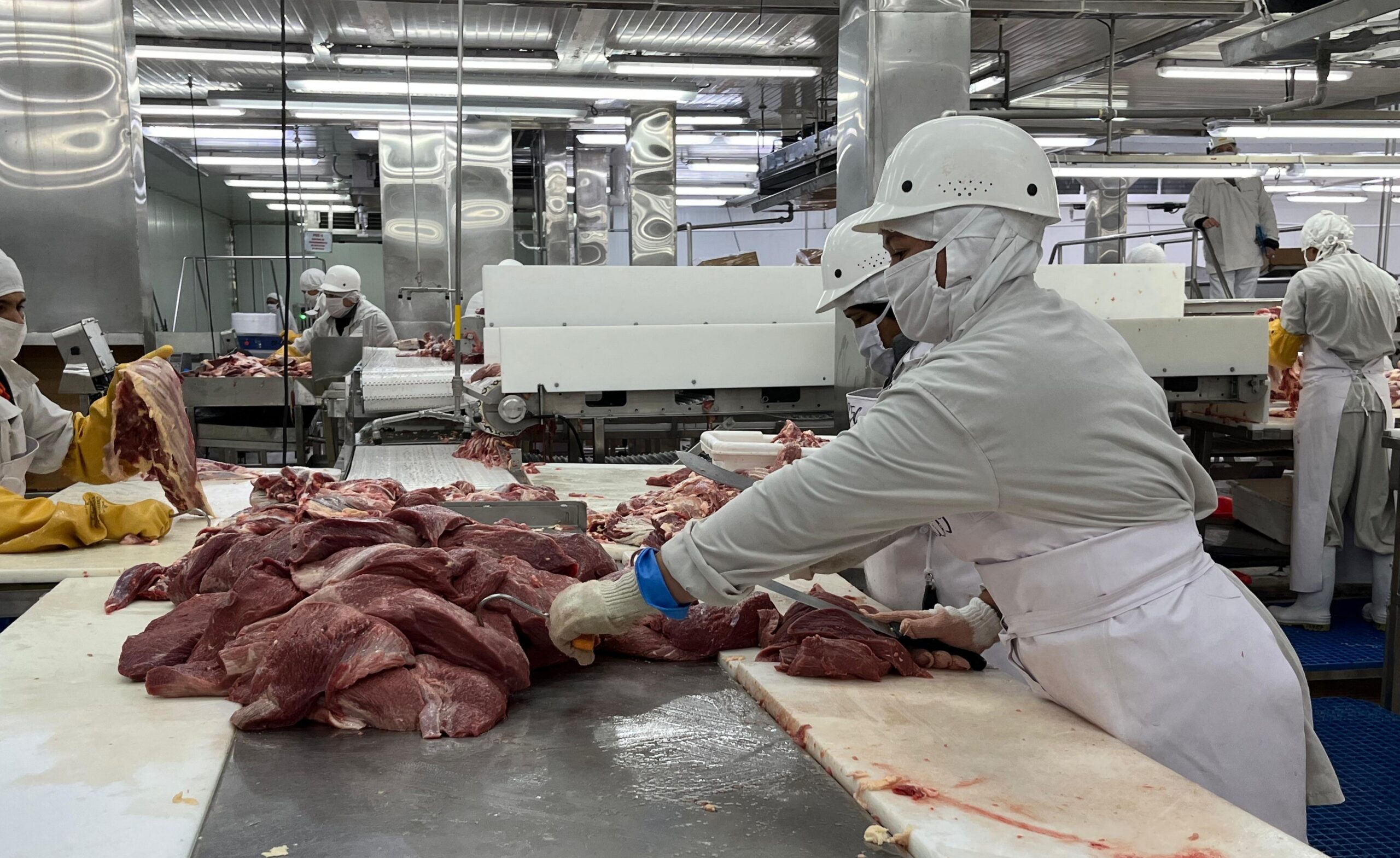 Más de 100 millones de libras de carne bovina aseguran abastecimiento nacional y exportación