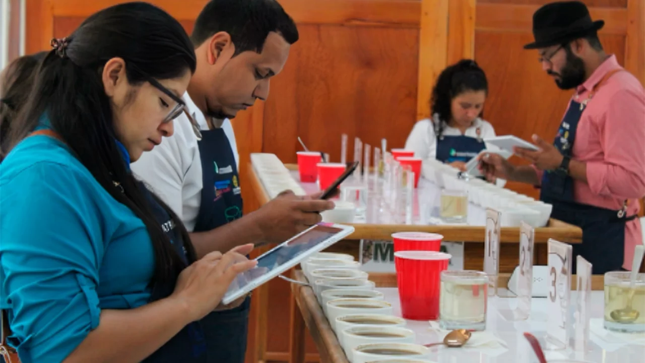 Esta semana se conocerá al ganador del Certamen Internacional Taza de la Excelencia 2025