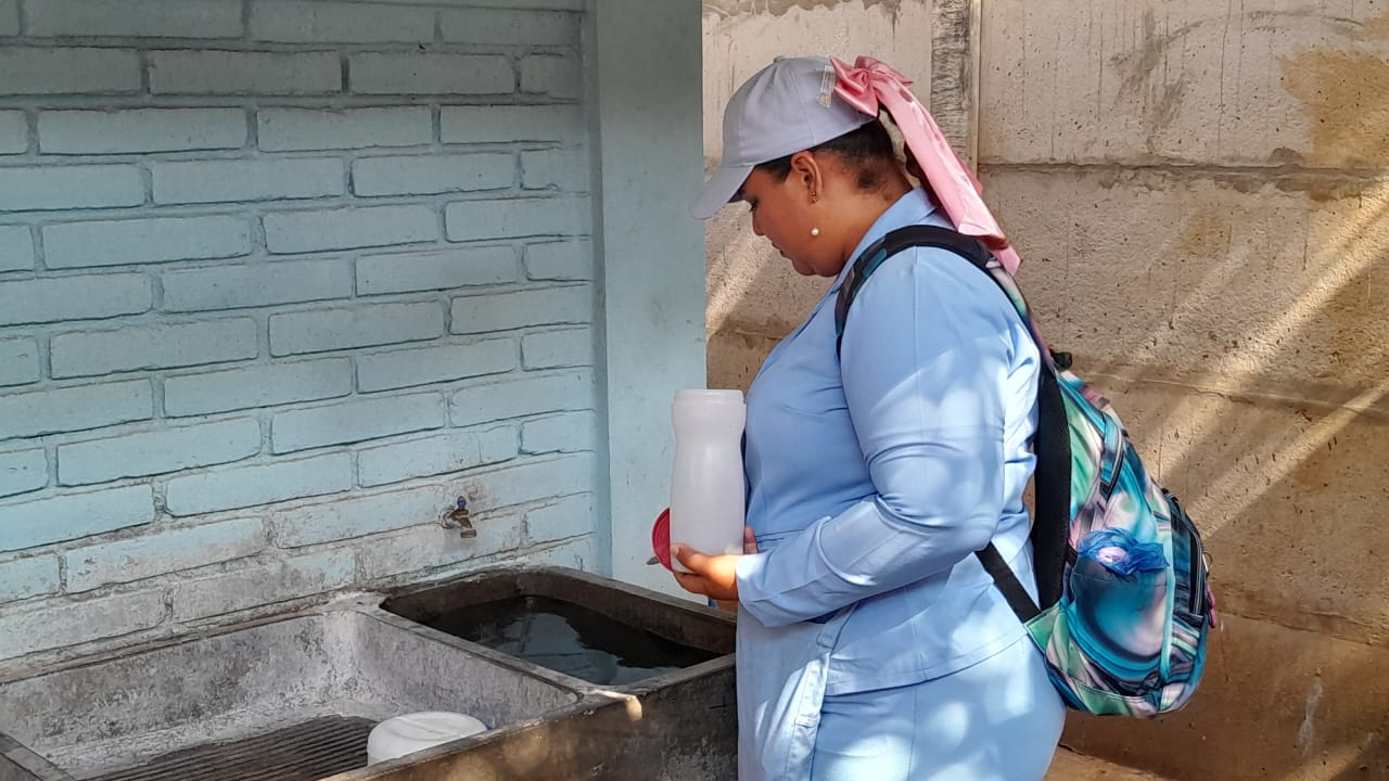 Minsa intensifica acciones antiepidémica contra los vectores de enfermedades