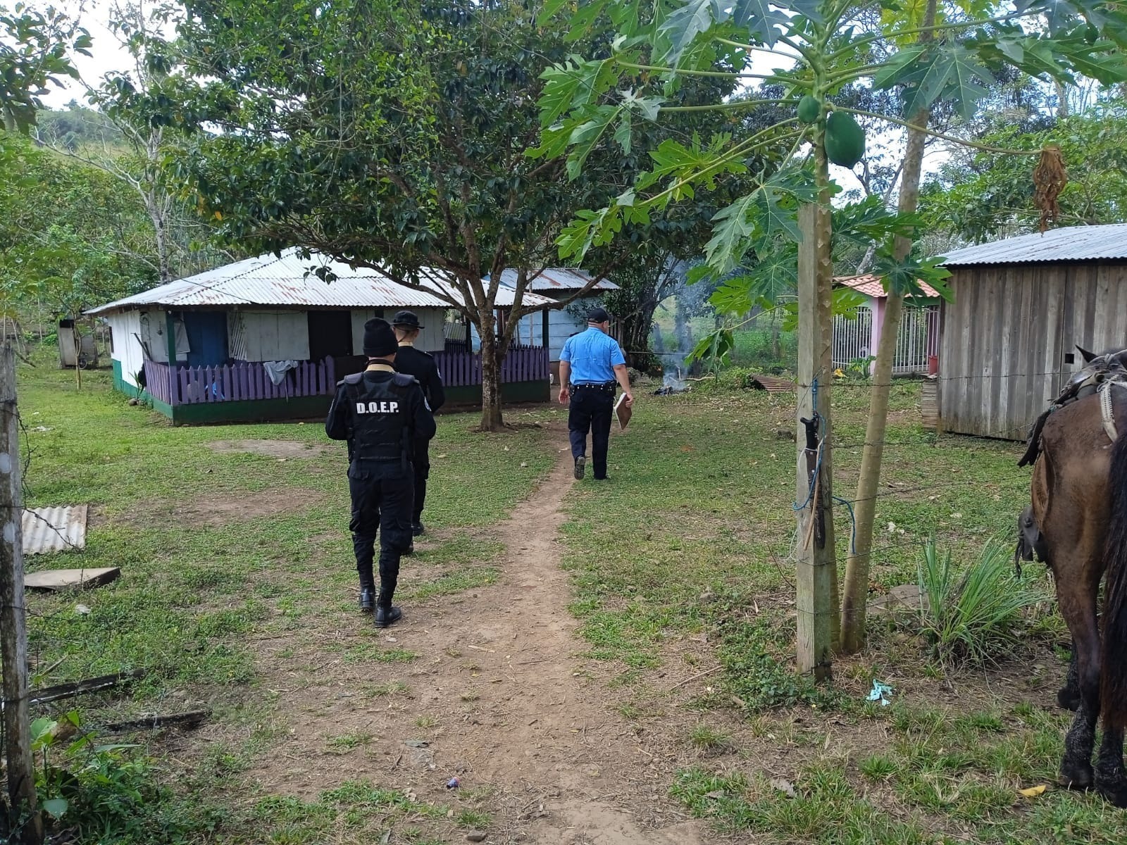 Plan de Seguridad en el Campo en Nicaragua permitió la captura de 19 delincuentes