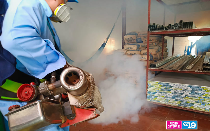 Minsa continua implementando acciones para reducir y prevenir los focos de propagación de enfermedades vectoriales