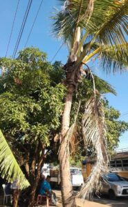 Joven muere descarga eléctrica