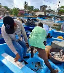 Se garantiza distribución eficiente de los productos marinos