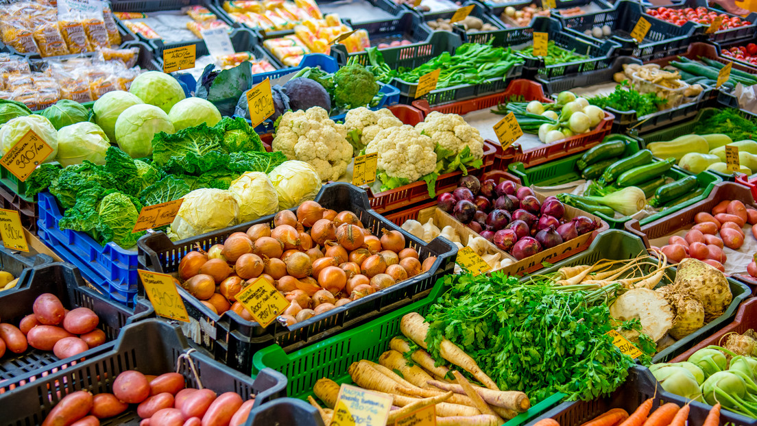 La clave para un cerebro sano: cómo la alimentación podría prevenir la demencia
