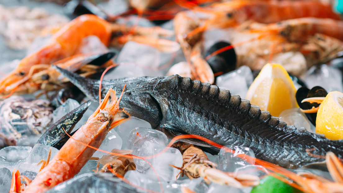 Mejor nutrición y menor costo ambiental: pescados y mariscos que los científicos recomiendan consumir