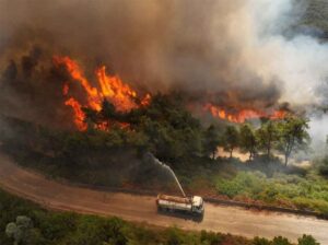Más de 28 mil hectáreas quemadas por incendios forestales en Honduras