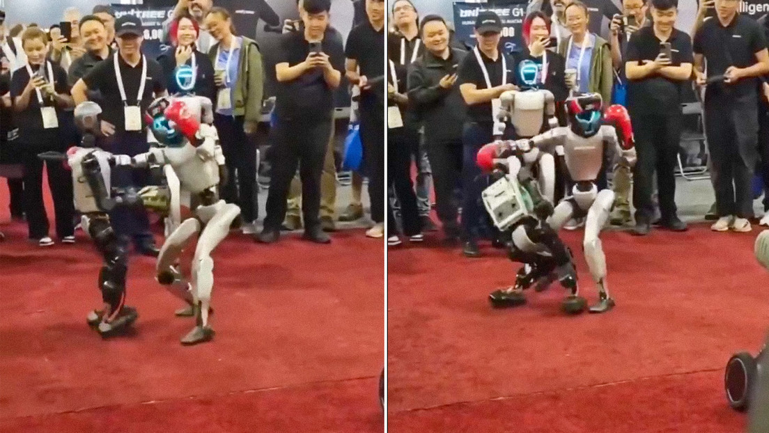 Emocionante pelea de dos robots termina con un inesperado nocaut