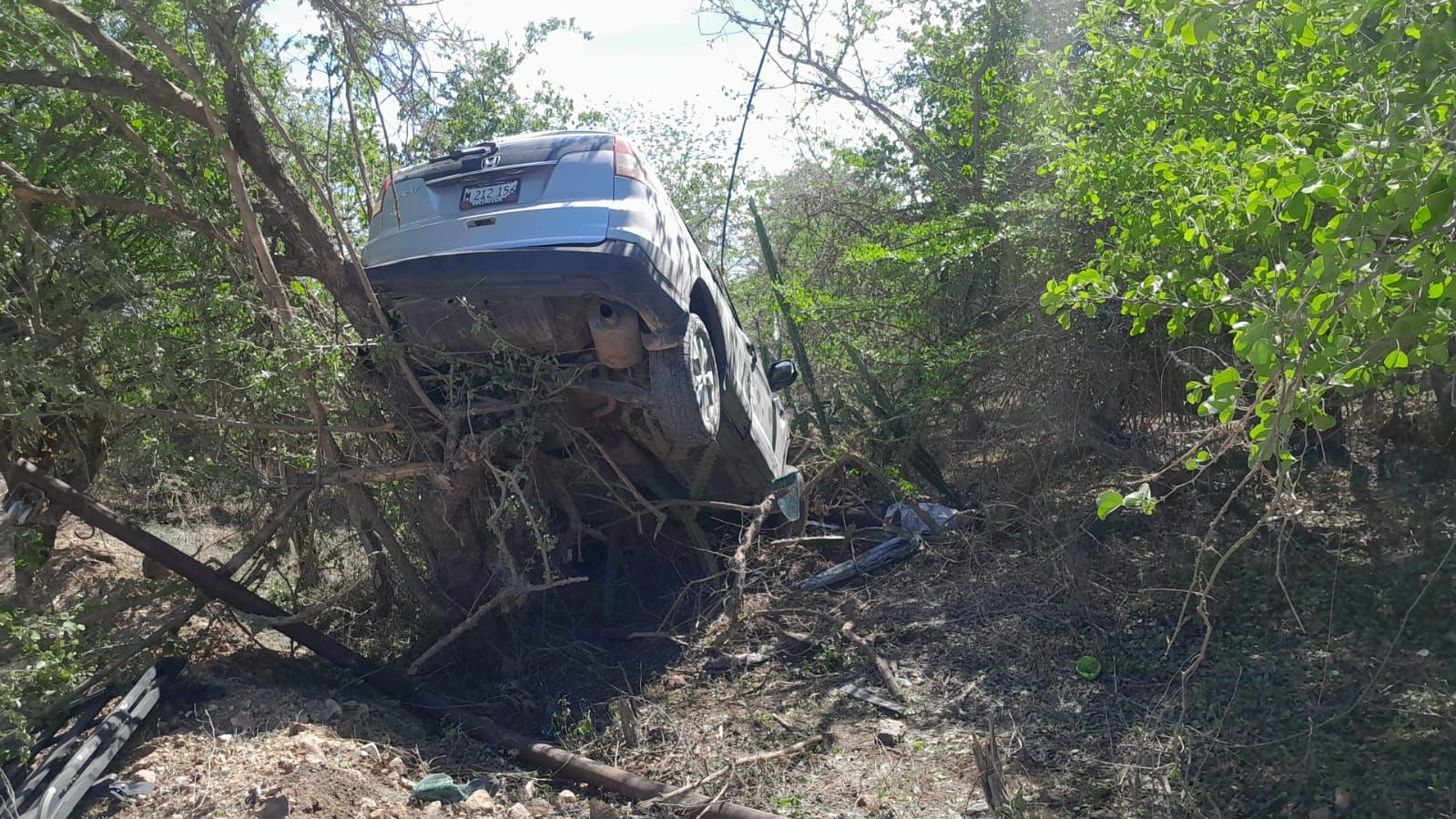 Conductor perece al estrellarse contra árboles en Somotillo