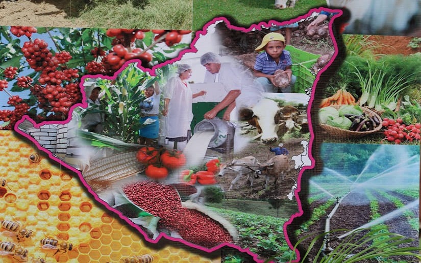 BCN: Exportamos más alimentos de lo que importamos