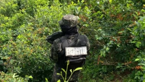 Incauta Ejército hondureño 27 mil 500 arbustos de coca
