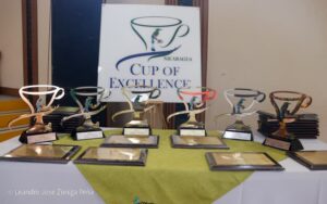 Café nicaragüense se consolida como un referente global de alta calidad