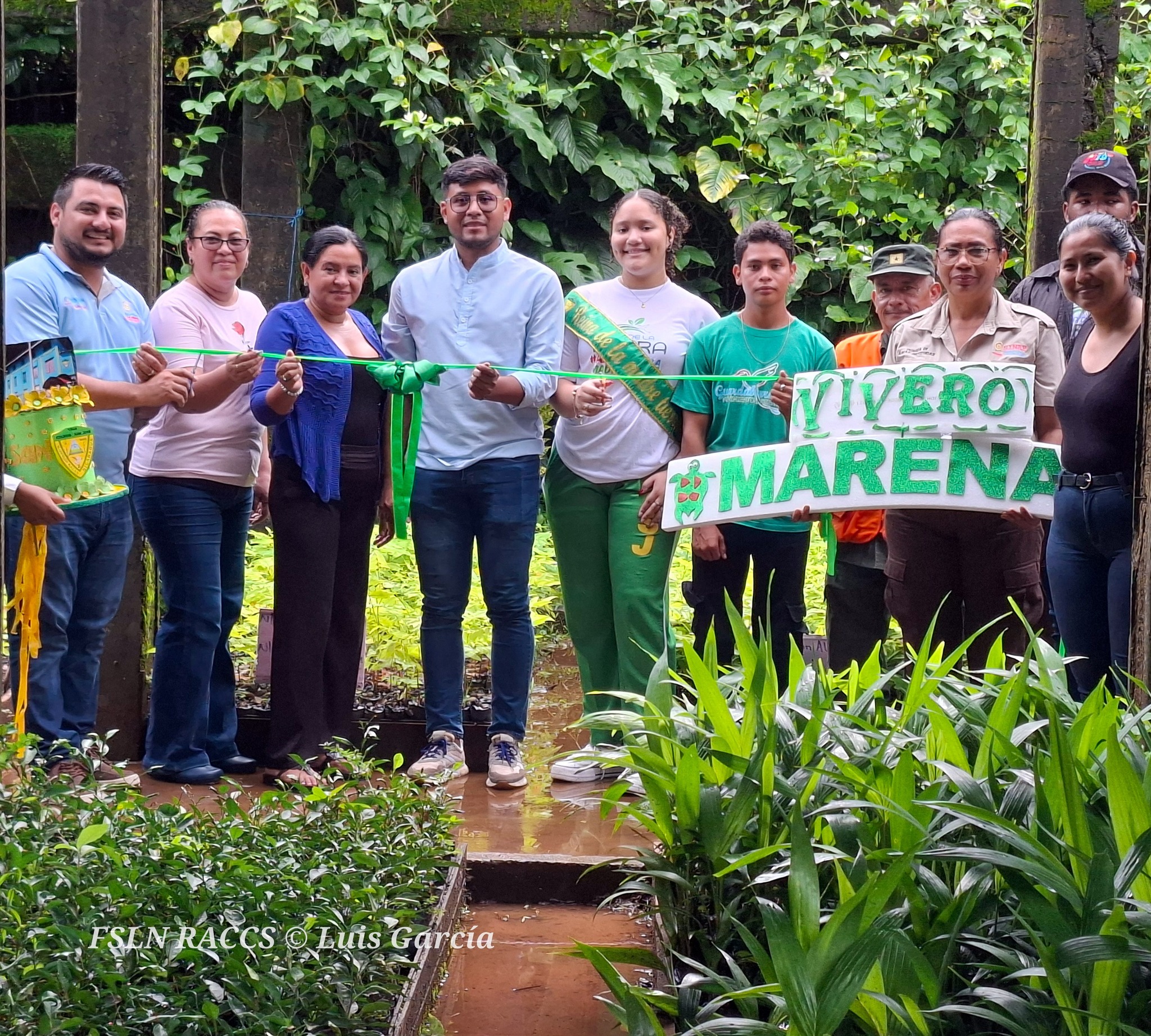Autoridades proyectan una producción de 30 mil plantas en un vivero de Bluefields