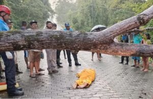 Joven de 16 muere al impactar contra un árbol en Rivas