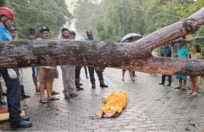 Joven de 16 muere al impactar contra un árbol en Rivas