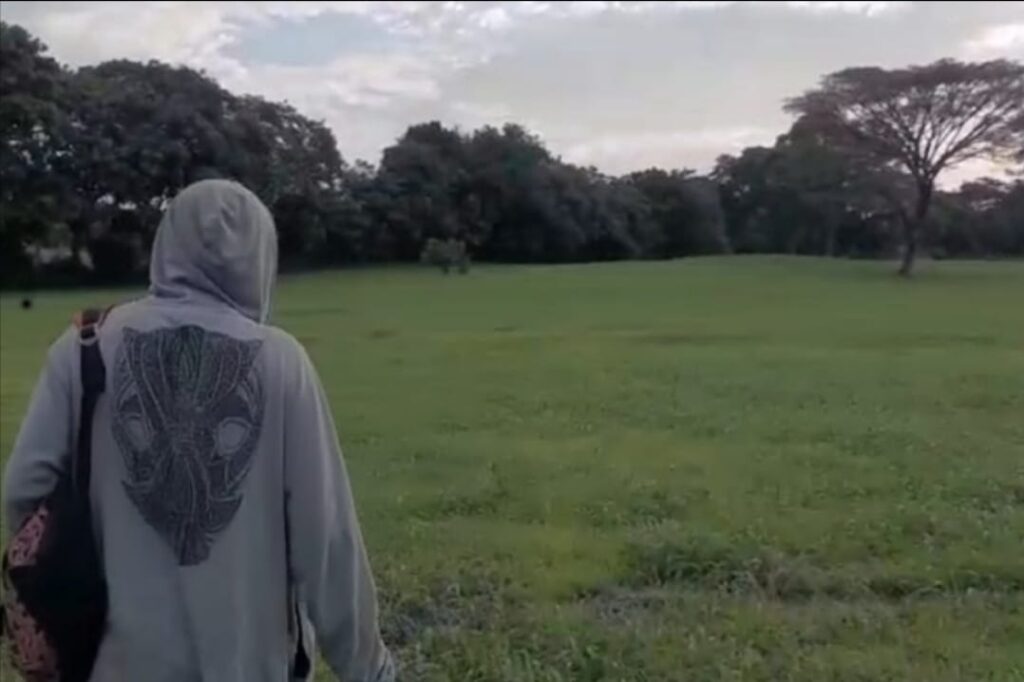 Encuentran cuatro caballos destazados en Tisma