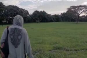 Encuentran cuatro caballos destazados en Tisma