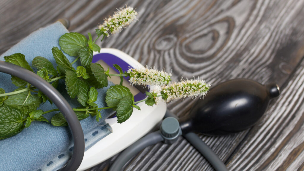 Ocho especias indispensables en la cocina