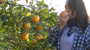 Fruta naranja salud corazón