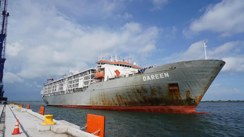 Más de 9 mil reses ha exportado Nicaragua a México por su trazabilidad de calidad