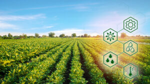 Experto: Avances tecnológicos de los BRICS impulsan un cambio global hacia una agricultura sostenible