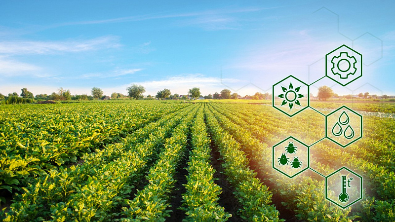 Experto: Avances tecnológicos de los BRICS impulsan un cambio global hacia una agricultura sostenible