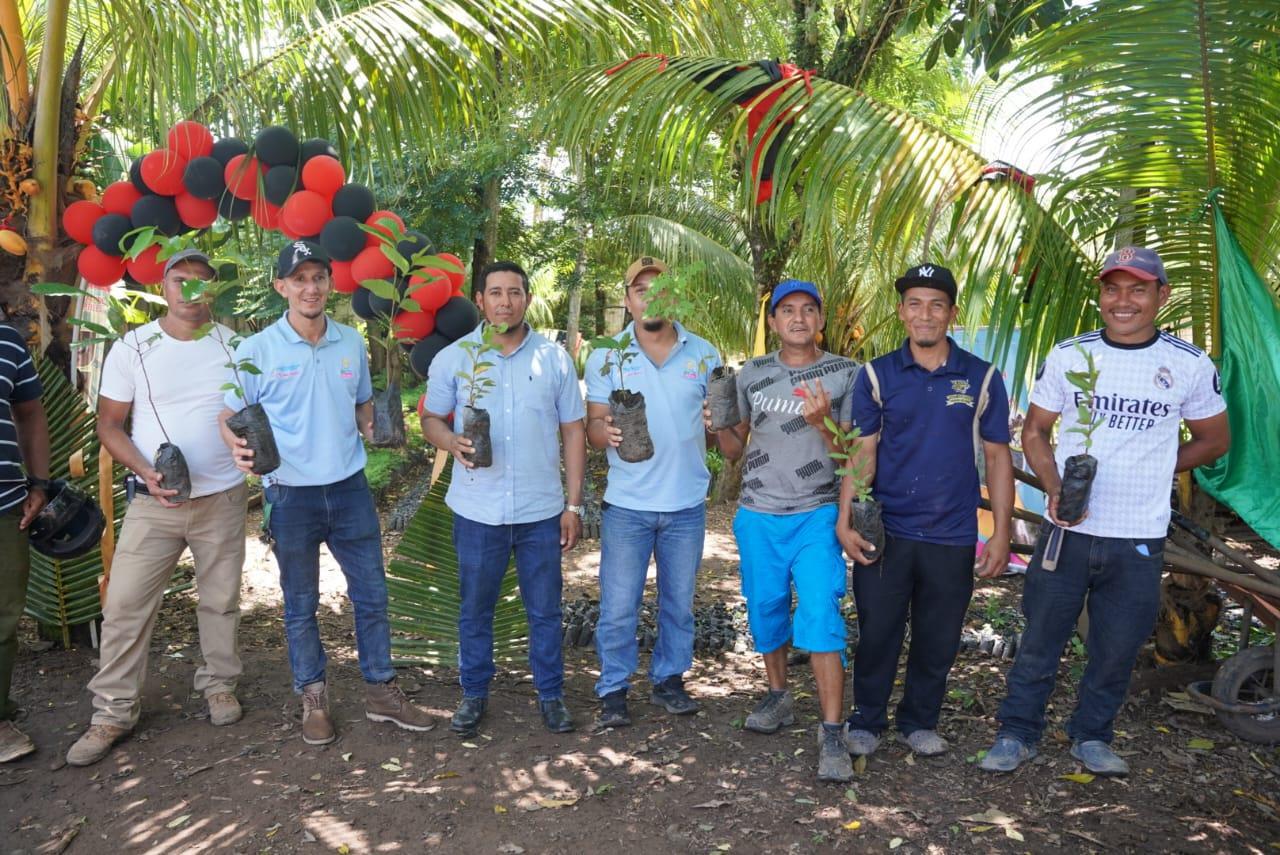 Jinotega cuenta con 26 viveros con capacidad de producir medio millón de plantas