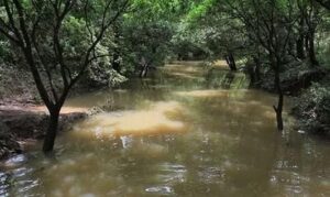 Niño perece ahogado tras ser arrastrado por las corrientes de un río en el Caribe Norte