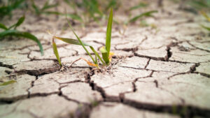 Un estudio revela que la Tierra pierde agua dulce a un ritmo preocupante
