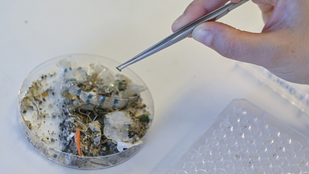 Respaldo y Solidaridad a la Federación de Rusia en su lucha contra el Neonazismo ucraniano