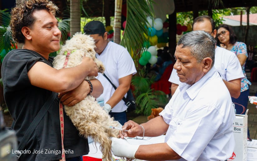 Inicia la Campaña Departamental de Vacunación Antirrábica Canina 2025